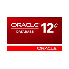 Oracle Database Standard Edition 